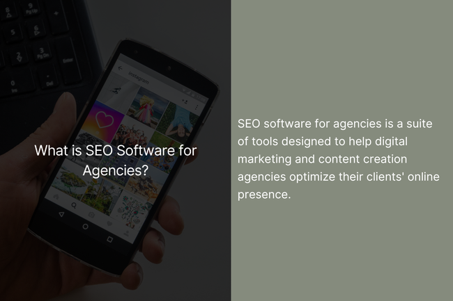 SEO Software for Agencies